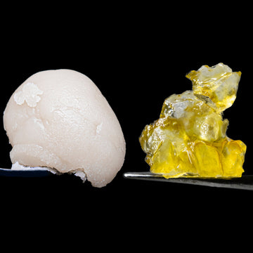bho vs rosin solvent vs solventless