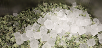 Ice vs Iceless Washing: A Comparative Study with the Osprey Hash Washing Machine