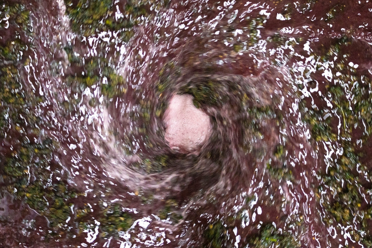 What to Do With Leftover Biomass After a Wash