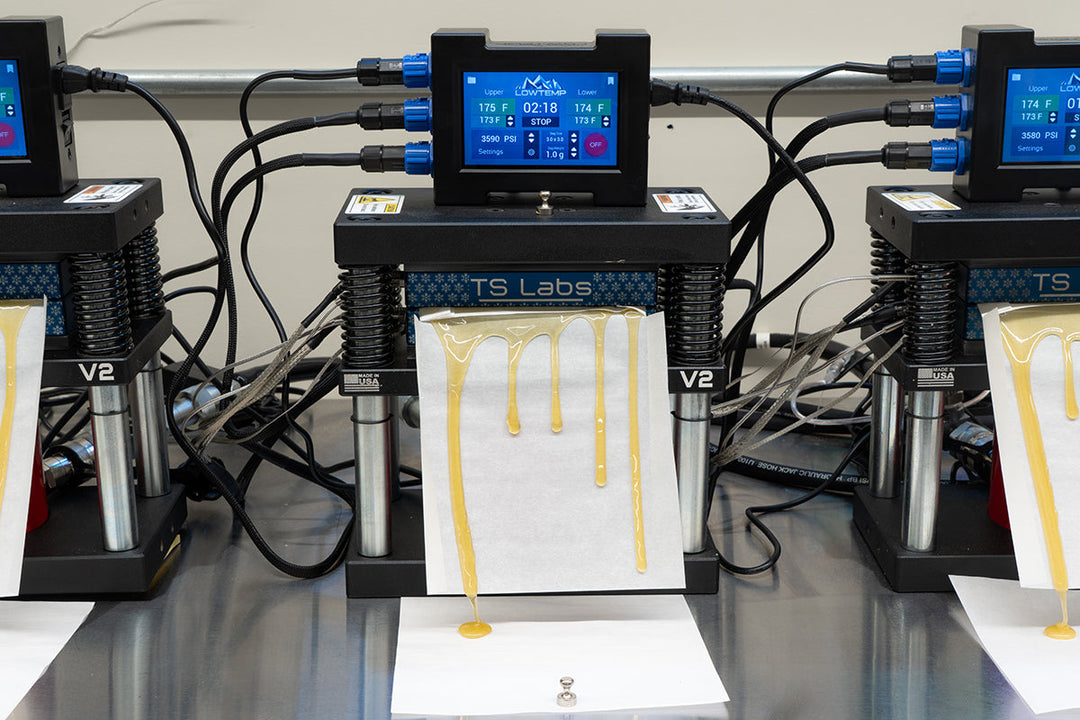 Why Heat and Pressure Control Matter in Rosin Pressing