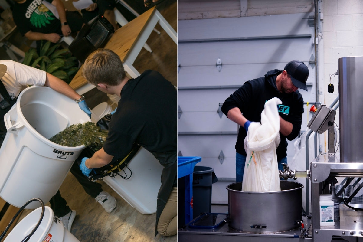 Hand Washing vs Machine Washing Hash: Trophy Melt Without The Paddle