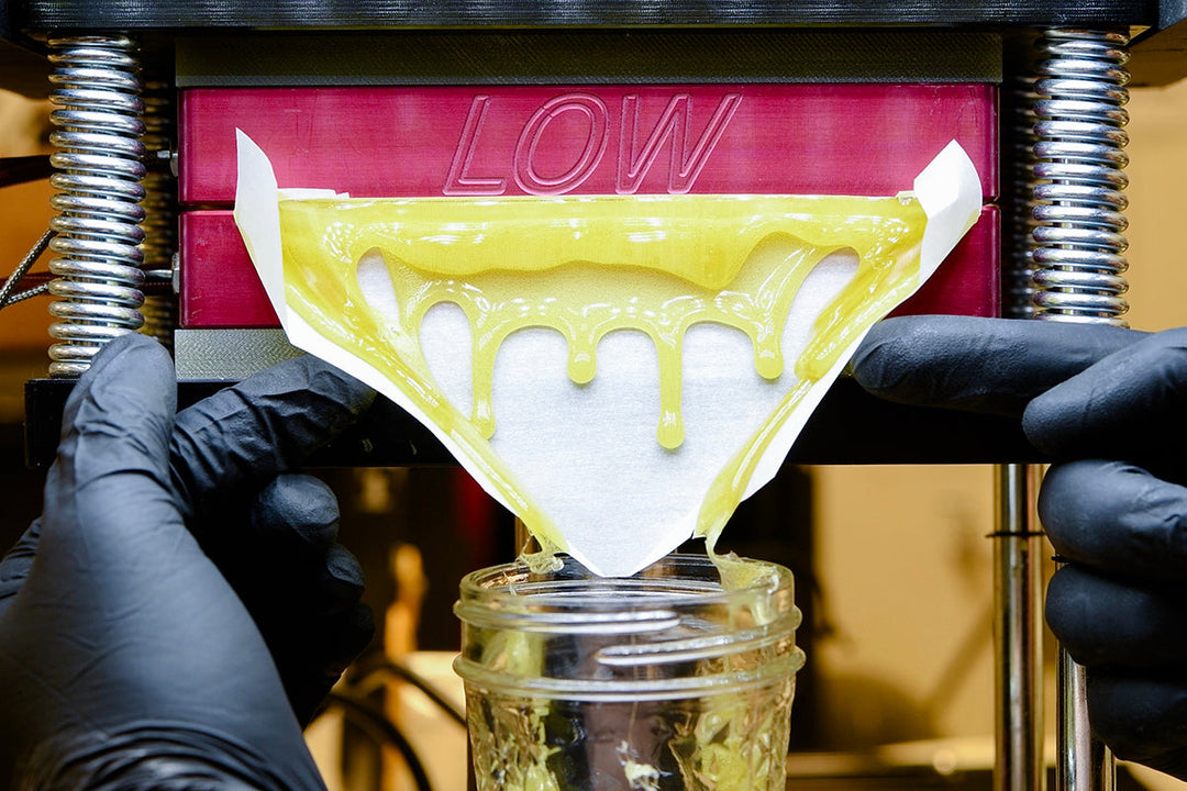 How to Choose a Rosin Press for Beginners