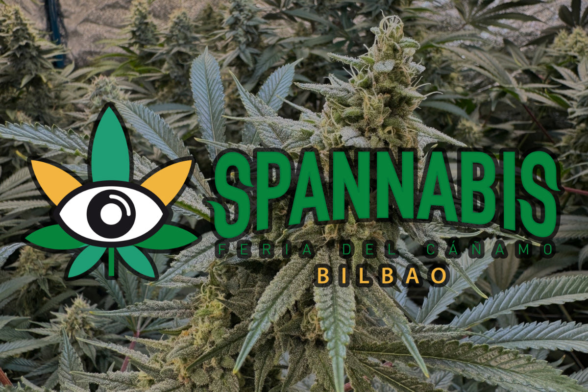 Spannabis 2026 – Everything You Need to Know