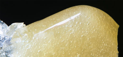 What Is Rosin & Why Is It a Popular Extract Product?