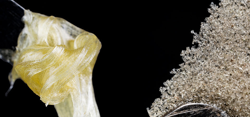 Comparing Bubble Hash vs Rosin as Solventless Extracts