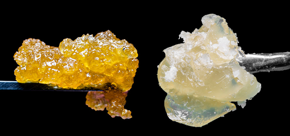 Live Rosin vs Live Resin