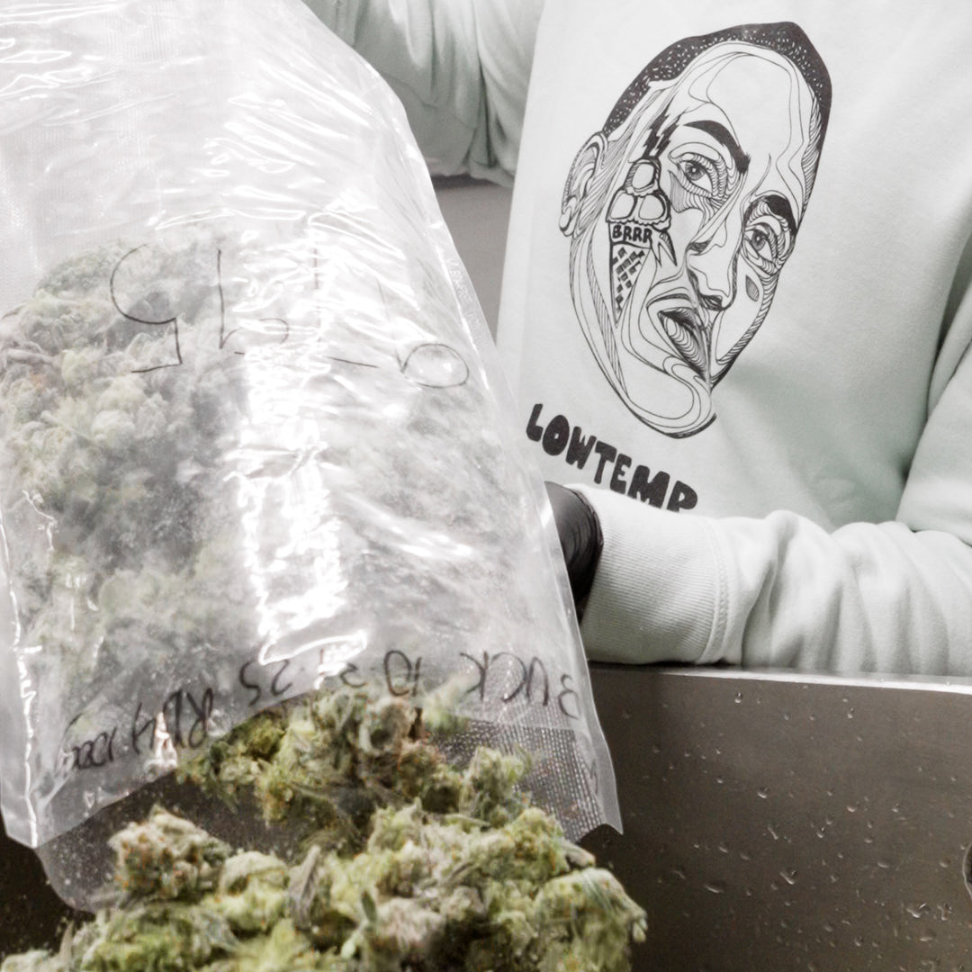 Person wearing a hoodie with a graphic design, next to a bag of cannabis buds.