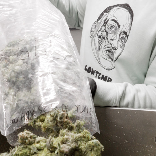 Person wearing a hoodie with a graphic design, next to a bag of cannabis buds.