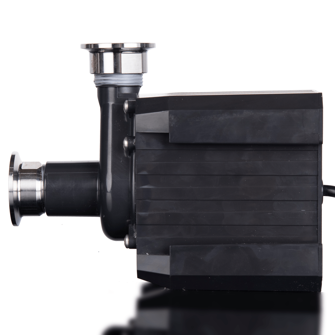 Black pump with metallic ends on a white background